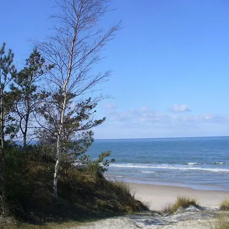 Lejonet Comfortable * Glowe